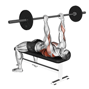 Jalón Con Barra A Presión