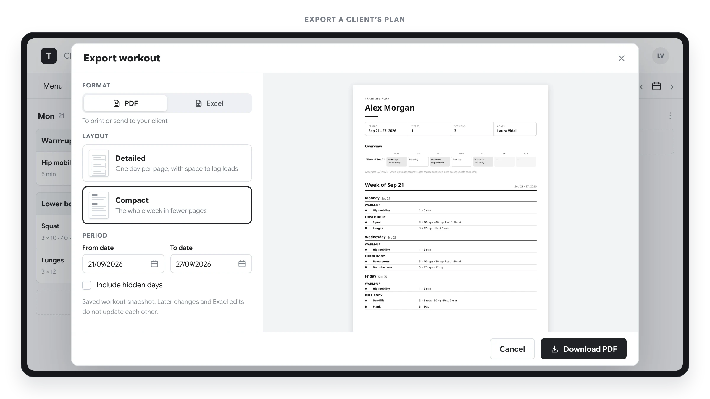 Client plan export dialog with format, date range, an option to include hidden days and a preview