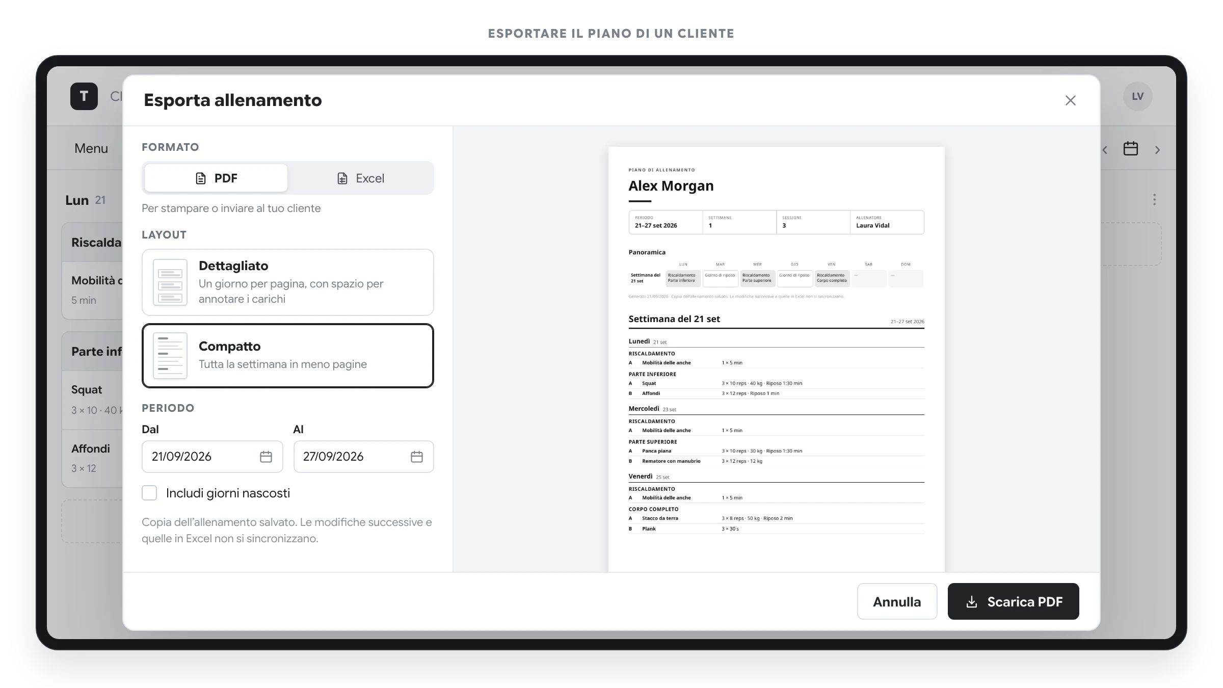 Finestra di esportazione del piano di un cliente con formato, date, opzione per includere i giorni nascosti e anteprima