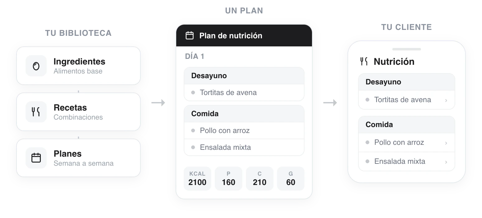 Diagrama del flujo de nutrición: la biblioteca (ingredientes, recetas y planes) alimenta el plan que asignas a un cliente, y el cliente lo sigue desde su app con macros y recetas